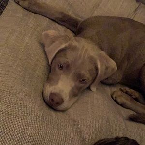 Meet your Posher, Kyle